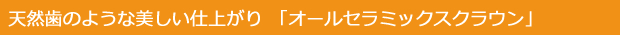 天然歯のような美しい仕上がり「オールセラミックスクラウン」
