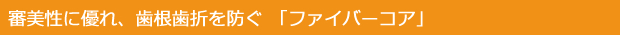 審美性に優れ、歯根歯折を防ぐ「ファイバーコア」